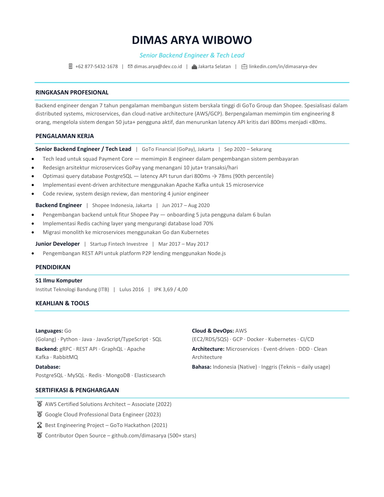 template cv programmer it indonesia profesional gratis